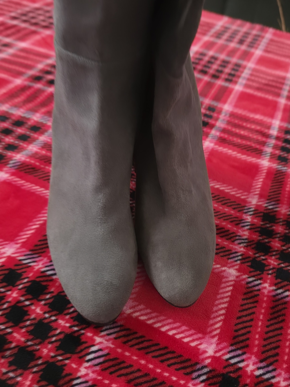 Halogen Gray Suede Over-the-Knee Boots